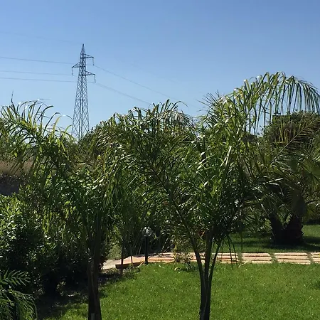 Palagiani Inside * קרפיניאנו סלינטינו